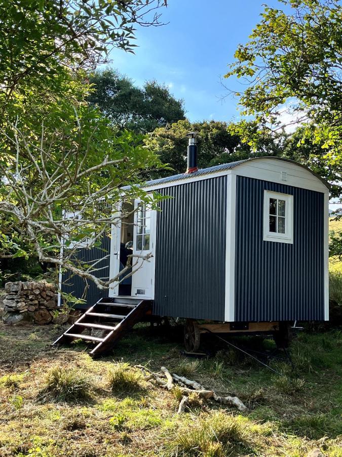 Villa The Hazel Hut Westport Exterior foto