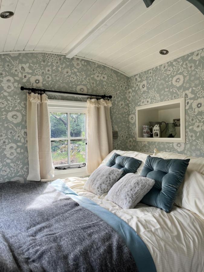 Villa The Hazel Hut Westport Exterior foto